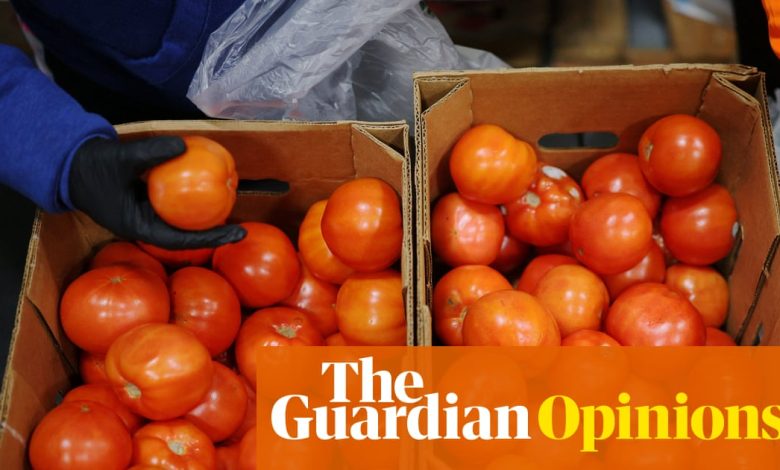 Trump is using the shutdown to make life tougher for millions of workers | Steven Greenhouse Trump is using the shutdown to make life tougher for millions of workers | Steven Greenhouse