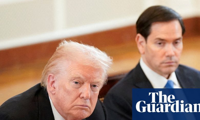 Trump begins process of designating Muslim Brotherhood chapters as terrorist groups | Donald Trump Trump begins process of designating Muslim Brotherhood chapters as terrorist groups | Donald Trump