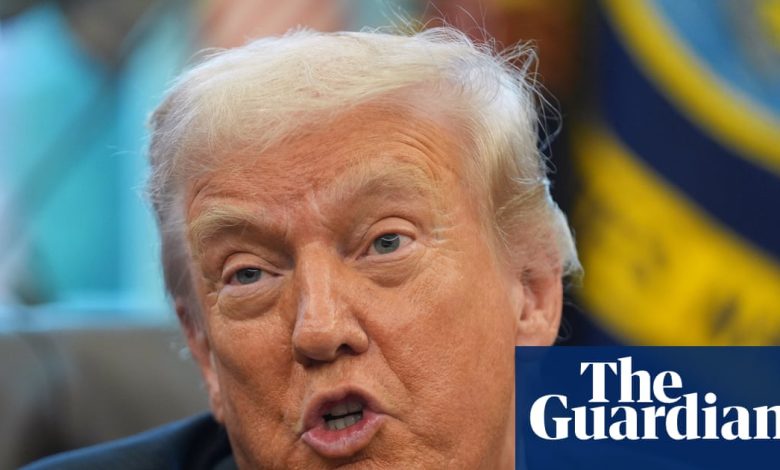 Trump says he is ending immigration protections for Somalis in Minnesota | US immigration Trump says he is ending immigration protections for Somalis in Minnesota | US immigration