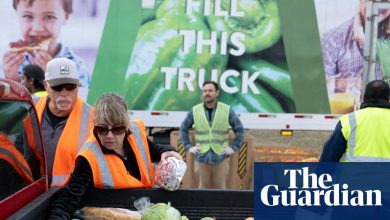 Trump News Summary: Republicans Claim Trump is ‘Desperate’ to End Shutdown Amid Cessation of Snap Payments | Trump Administration