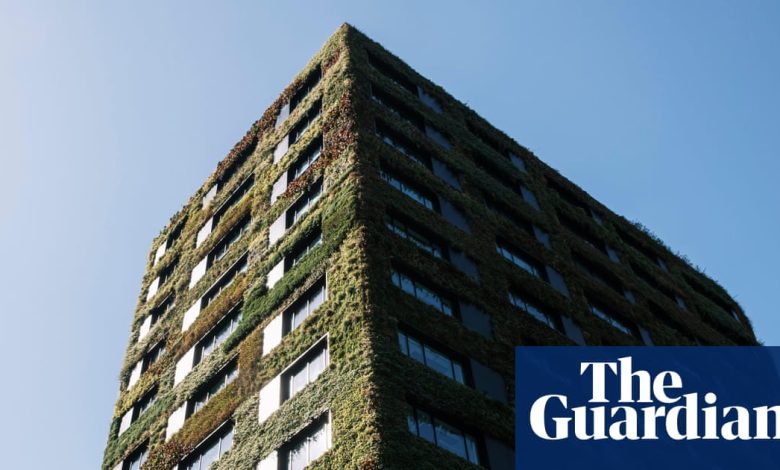Global Demand for ‘Green’ Office Buildings Slows Due to Trump Administration Policies | Commercial Real Estate Global Demand for ‘Green’ Office Buildings Slows Due to Trump Administration Policies | Commercial Real Estate