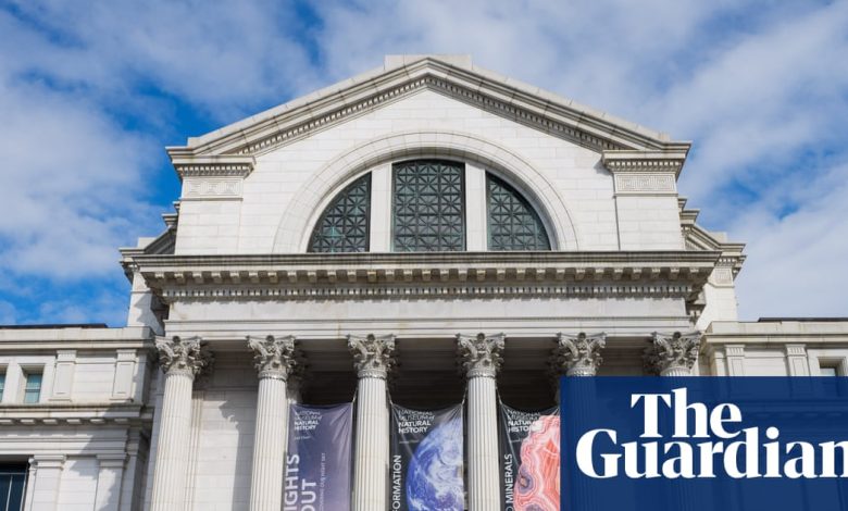 One-Third of Museums Have Lost Government Funding Since Trump Took Office, Survey Reveals One-Third of Museums Have Lost Government Funding Since Trump Took Office, Survey Reveals