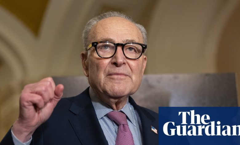 Schumer Seeks Senate Support for Legal Action Regarding Partial Release of Epstein Files