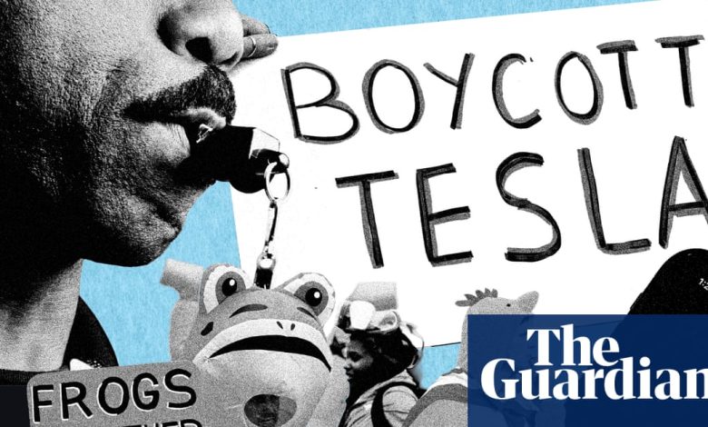 Inflatable frogs and ice scrapers: nine innovative ways Americans protested against Trump in 2025 | Protest (US)