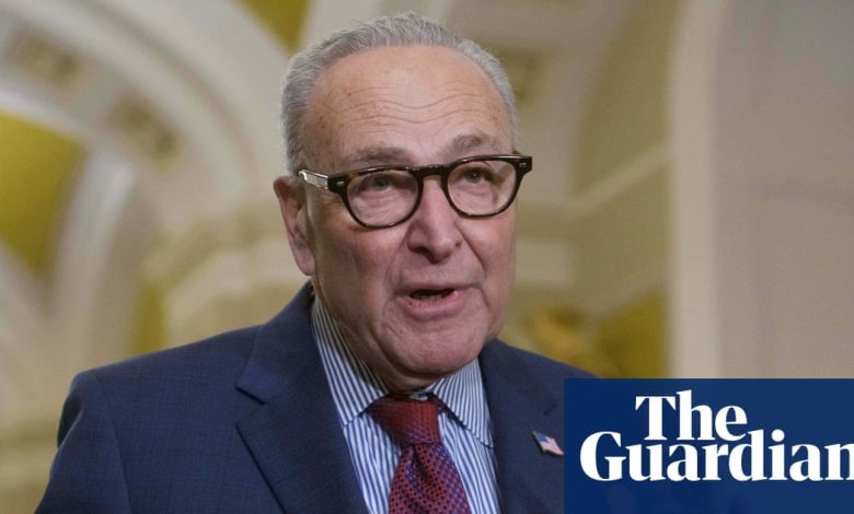 Schumer: Democrats will block funding package if it includes homeland security money | US politics