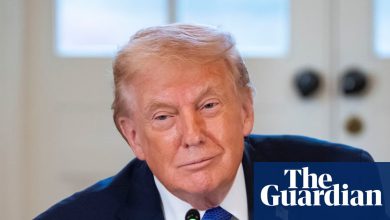 Trump Reiterates Groundless Assertion That Renee Good Was Part of ‘Left-Wing Network’ of Paid Agitators