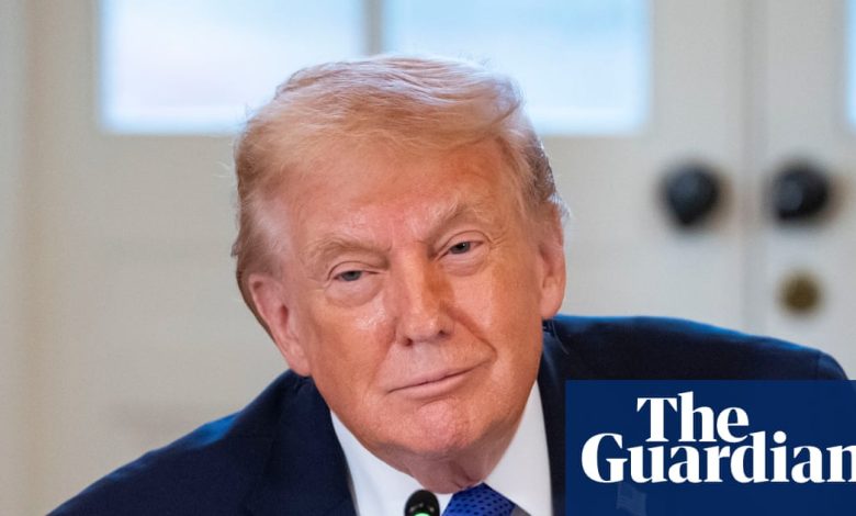 Trump Reiterates Groundless Assertion That Renee Good Was Part of ‘Left-Wing Network’ of Paid Agitators