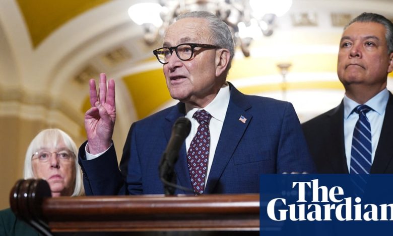 Senate Democrats demand DHS funding bill include reforms to ‘rein in ICE’ | ICE (US Immigration and Customs Enforcement)